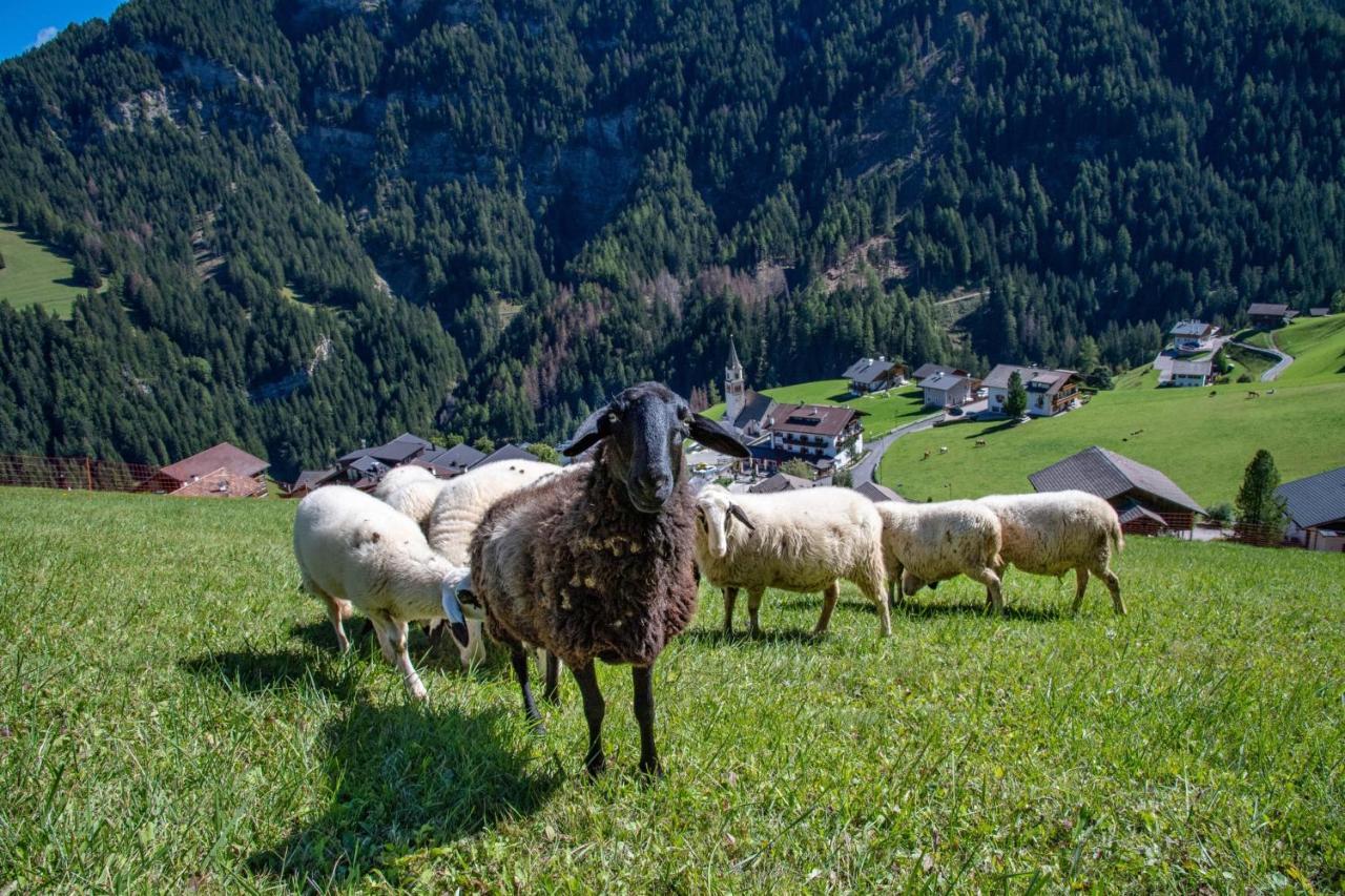 Agriturismo Apartments Tuene Ortisei Extérieur photo